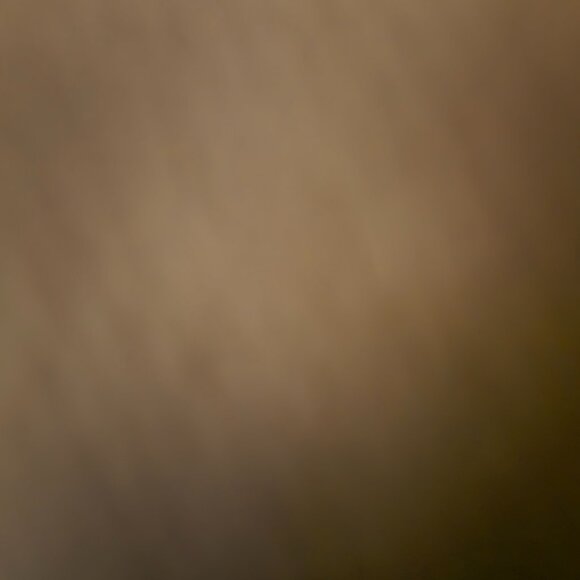 Chico's Fabulously Slimming black pants. Chico's size 1.5P (MP/10P) - Picture 10 of 13